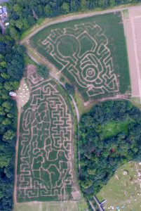 Maize Mazes at Quex