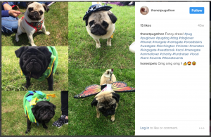 thanetpugathon instagram post